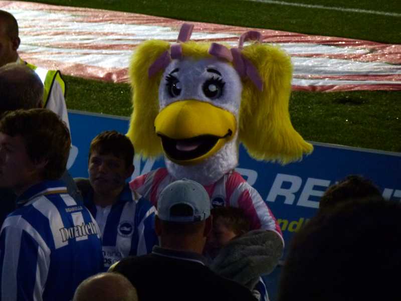 Season ticket seat pictures