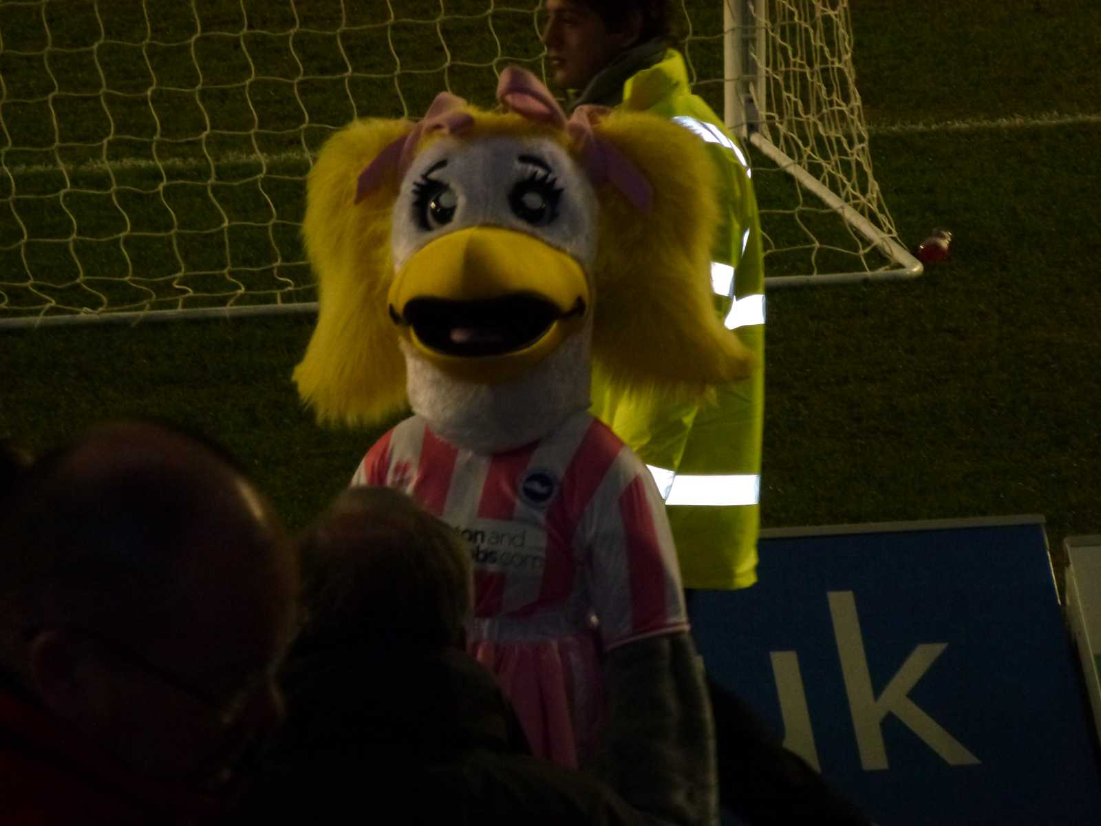 Season ticket seat pictures