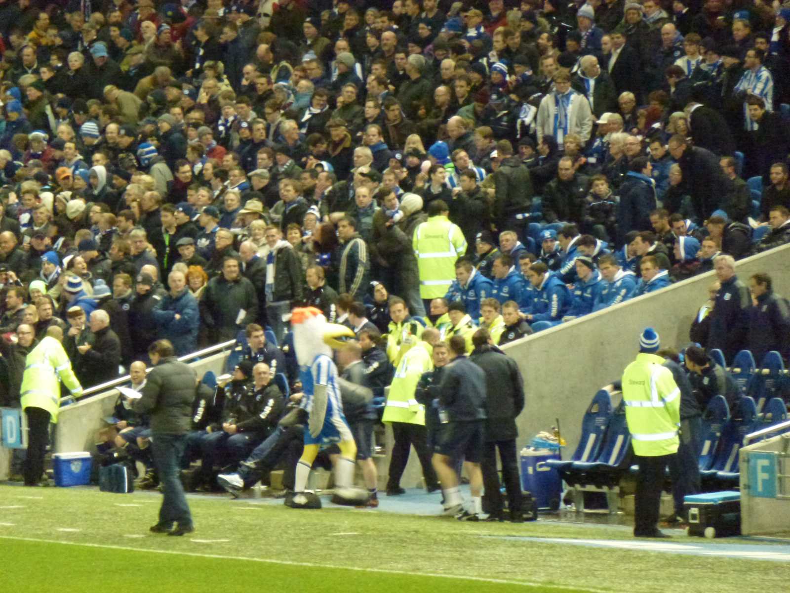 Season ticket seat pictures