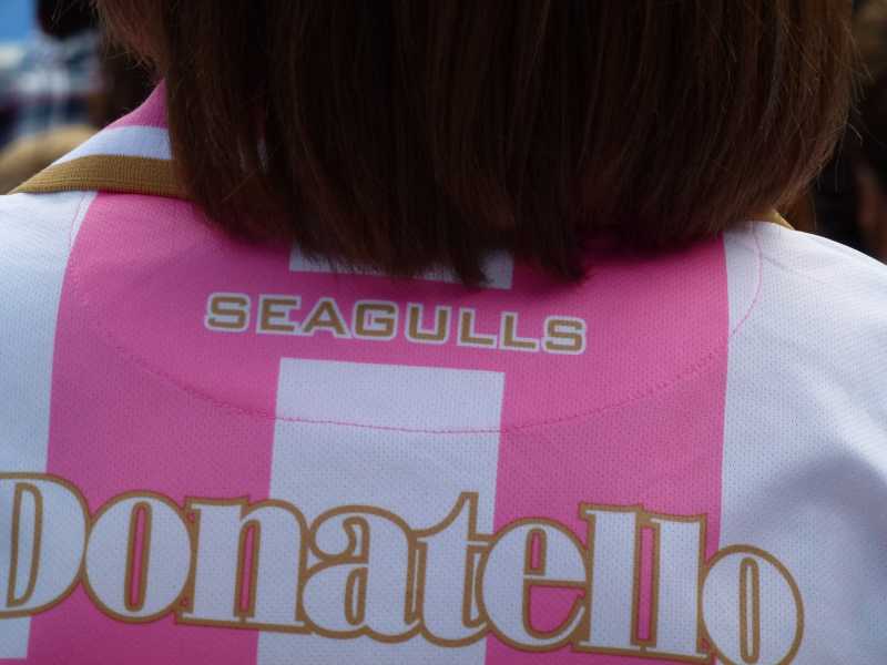 Season ticket seat pictures